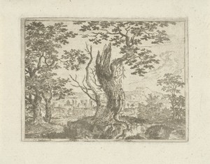 Landschap met een afgebroken boom