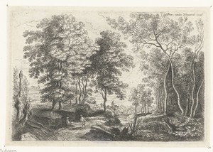 Landschap met een beek door een bos