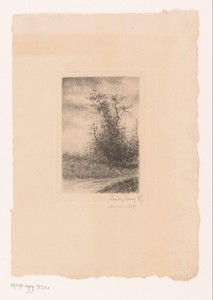Landschap met een boom aan de waterkant