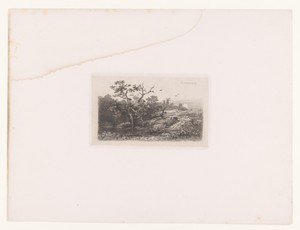 Landschap met een boom bij een vijver