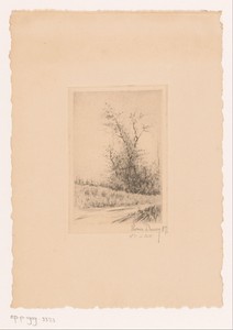 Landschap met een bos aan de waterkant