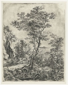 Landschap met een grote boom