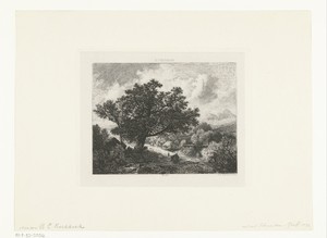 Landschap met een grote boom bij een beek