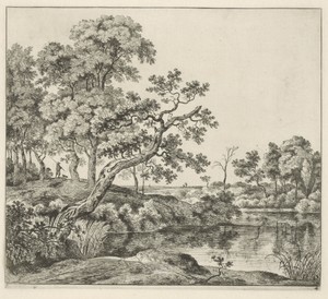 Landschap met een hangende boom aan het water