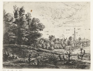 Landschap met een herder
