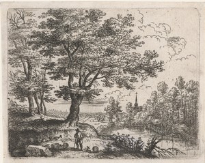 Landschap met een herder