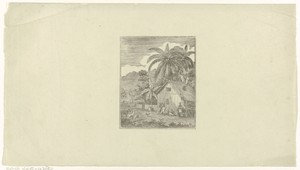 Landschap met een huis onder kokospalmen
