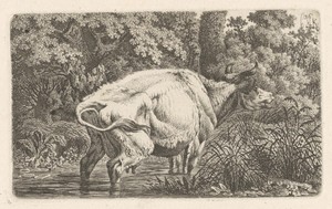 Landschap met een koe in het water