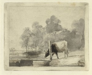 Landschap met een koe naast een sloot