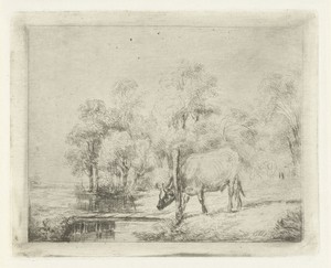 Landschap met een koe naast een sloot