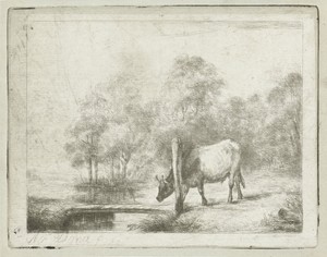 Landschap met een koe naast een sloot