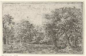 Landschap met een plas