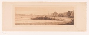 Landschap met een rietkraag in een meer