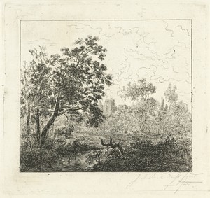 Landschap met een rivier en een boomstronk