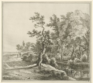 Landschap met een slingerende weg