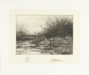 Landschap met eenden bij een plas