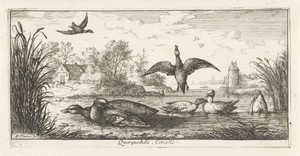 Landschap met eenden