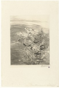 Landschap met eenden of talingen in water tussen riet