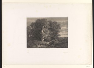 Landschap met eik aan een beek