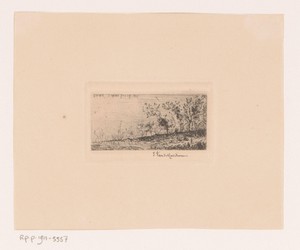 Landschap met enkele bomen