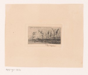 Landschap met enkele bomen langs het water