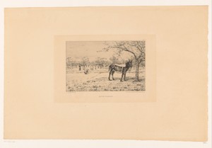 Art by Léon Barillot