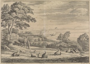 Landschap met fazanten en snippen