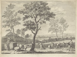 Landschap met graanoogst