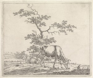 Landschap met grazende koe