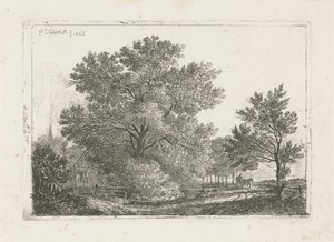 Landschap met grote boom