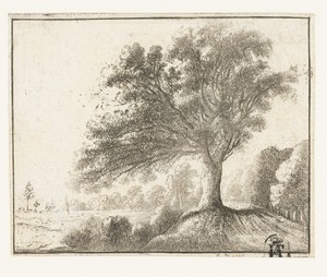 Landschap met grote boom