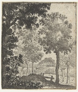 Landschap met grote boom op voorgrond