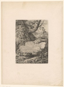 Landschap met grote rots