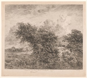 Landschap met grote struiken en wandelaar