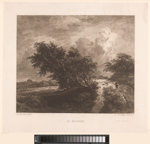 Landschap met grote struiken en wandelaar