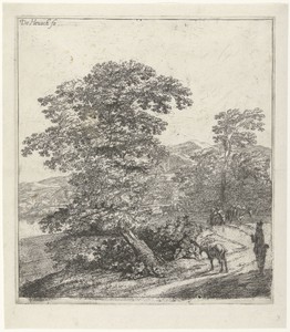 Landschap met herder