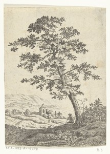 Landschap met herder