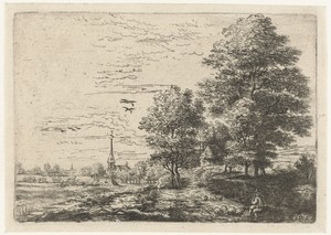 Landschap met herder en schapen