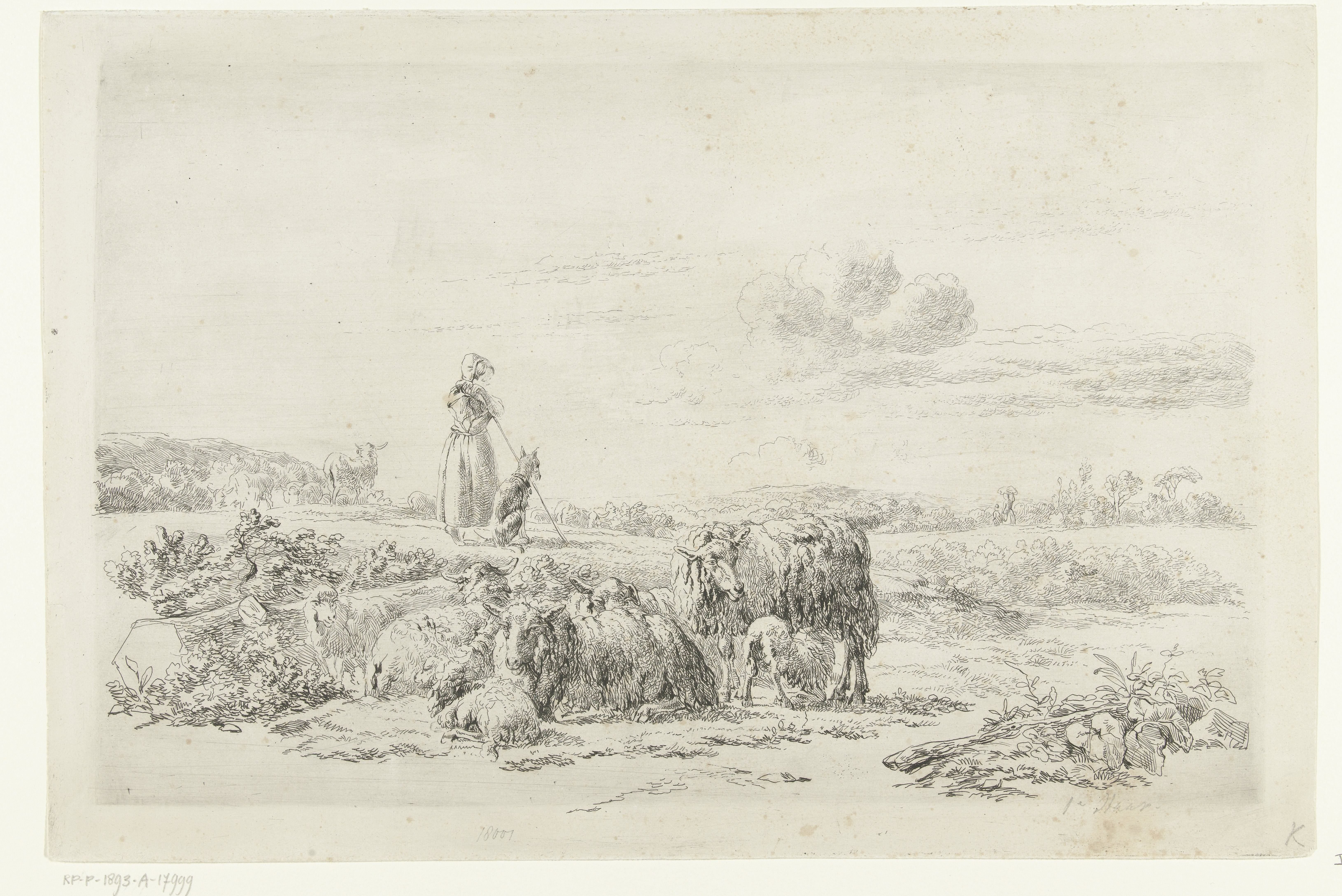 Landschap met herderin en hond bij kudde schapen by Simon van den Berg