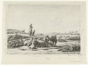 Landschap met herderin en hond bij kudde schapen
