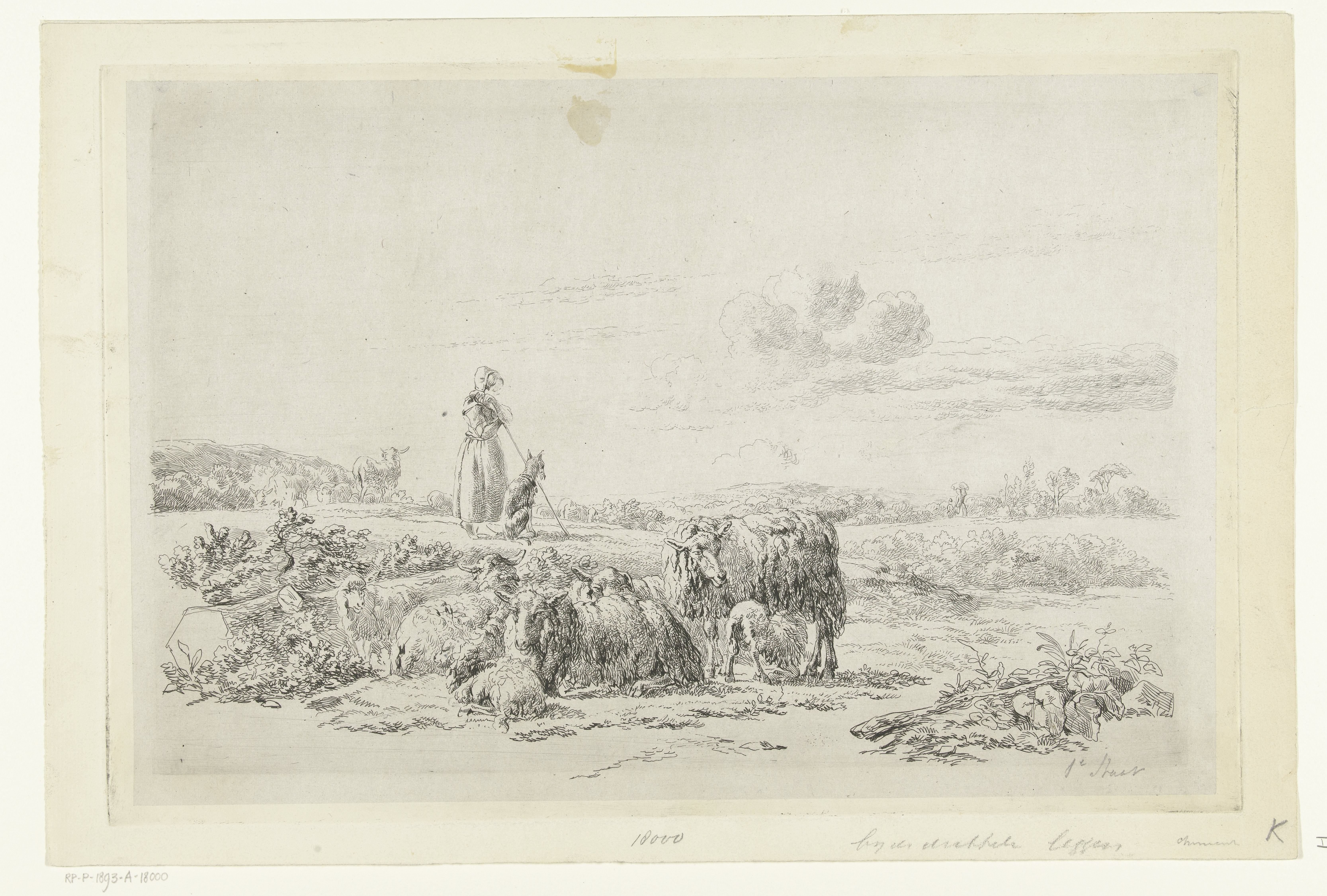 Landschap met herderin en hond bij kudde schapen by Simon van den Berg