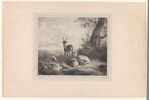 Landschap met herten