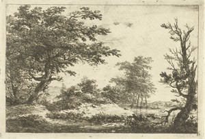 Landschap met heuvel, water en bomen