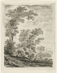 Landschap met hoge bomen