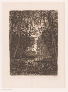 Landschap met hoge bomen en een reiger rondom een waterplas