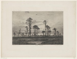 Landschap met hoge bomen en een vijver