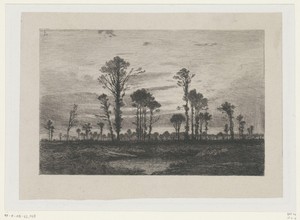 Landschap met hoge bomen en een vijver