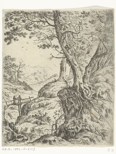 Landschap met houten bruggetje