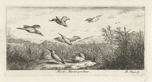 Landschap met ijsvogels