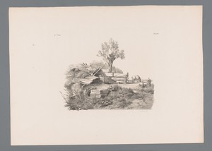 Landschap met ingestort huis, knotwilg en varken